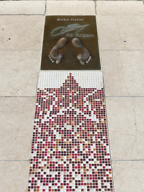 的第九届亚 的第九届亚