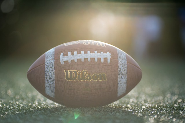 在近日召开 在近日召开