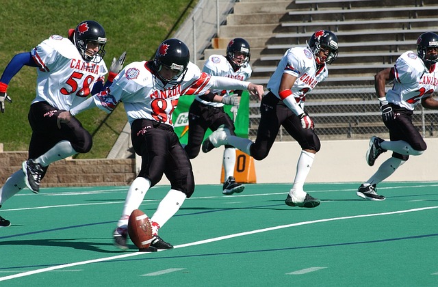 模缉获行动 模缉获行动