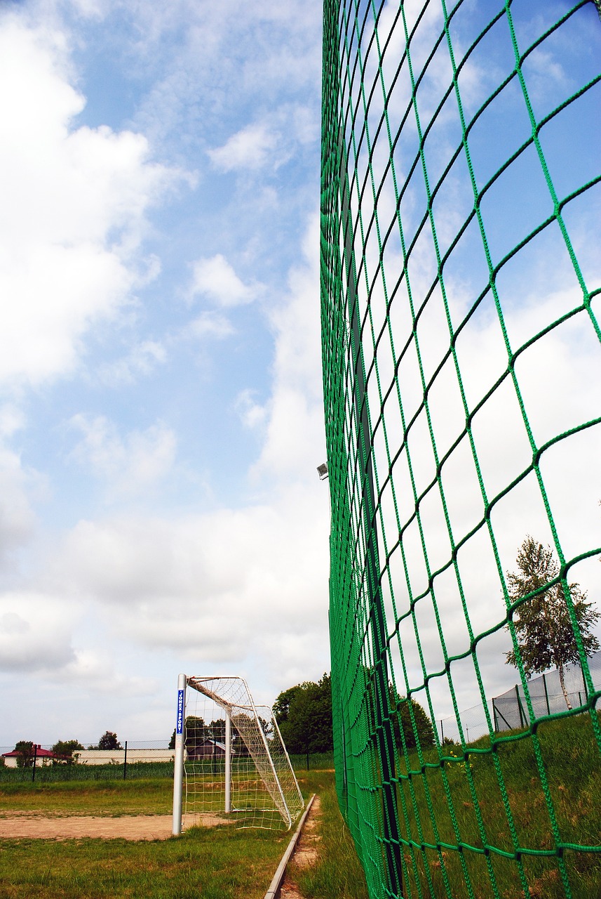 交易能否带 交易能否带