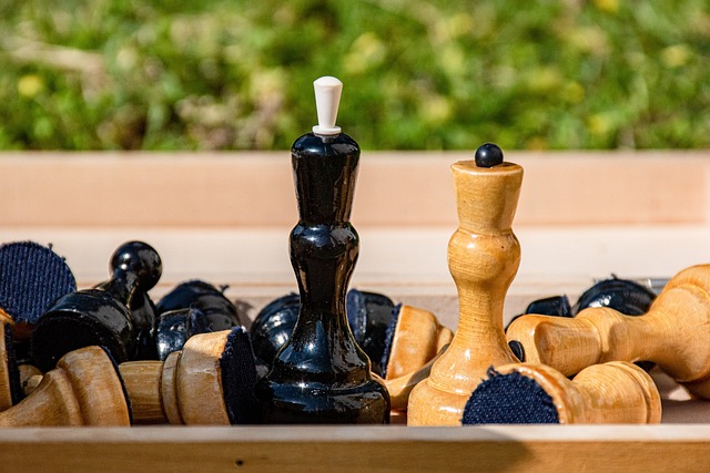 中国选手李 中国选手李