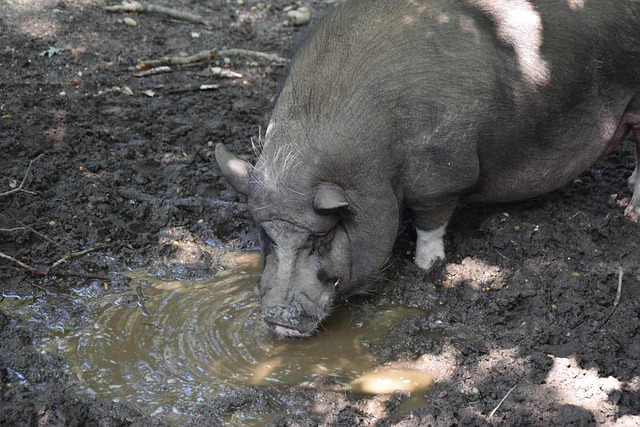 队名的意义 队名的意义