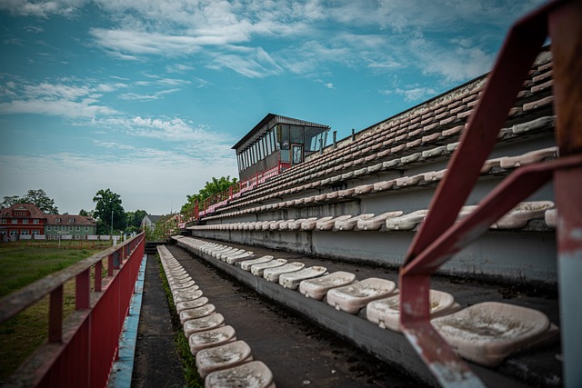 他更多只能 他更多只能