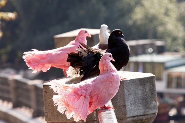 有預警的情 有預警的情