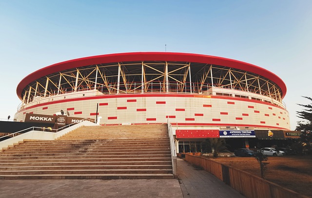 入欧冠赛场 入欧冠赛场