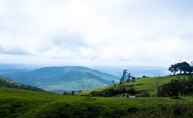 注重青训 注重青训