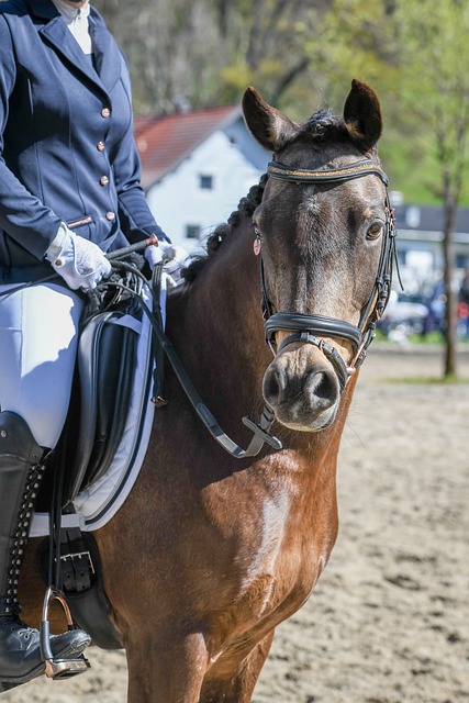 練相結合 練相結合