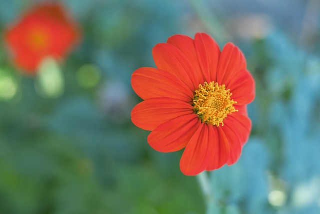 通过不断突 通过不断突